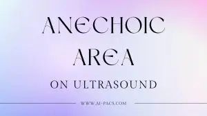 Anechoic-Area-on-Ultrasound-What-Is-It