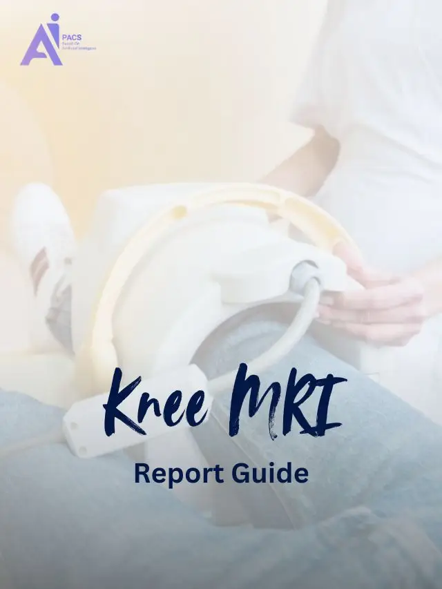 Interpreting Knee MRI: Key Insights